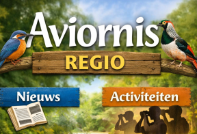 Aviornis Regio Nieuws Evenementen
