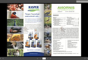 Digitaal tijdschrift