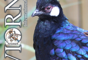 Voorpagina Besturlijk jaarboek 2025