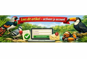 Afbeelding activeer account