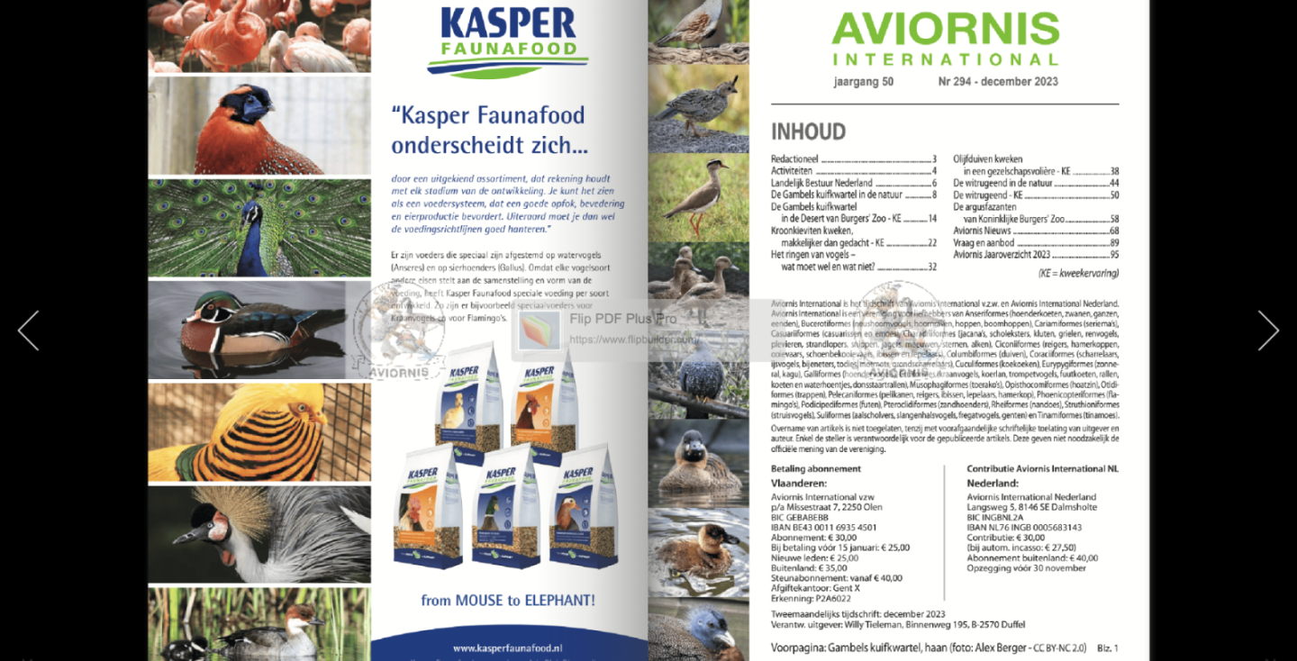 Digitaal tijdschrift