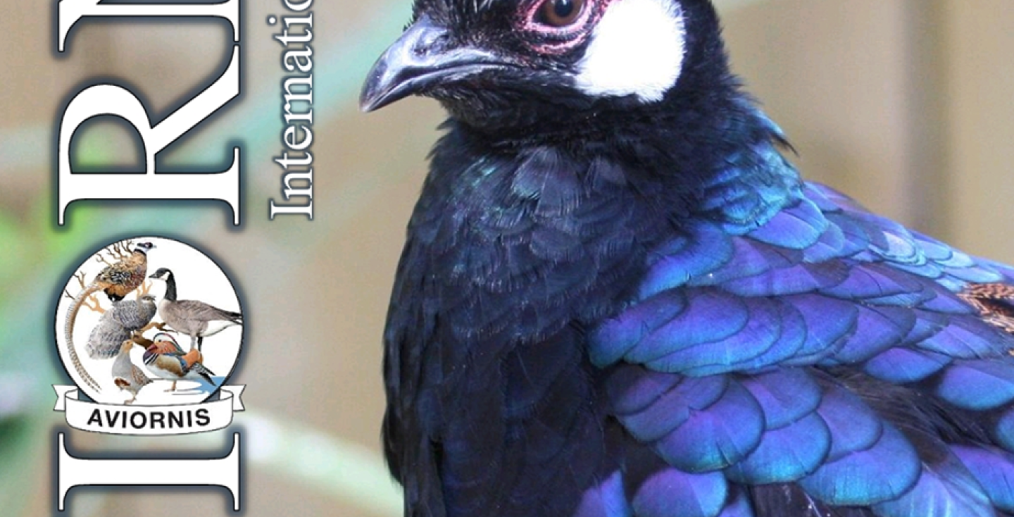 Voorpagina Besturlijk jaarboek 2025