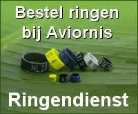 Ringendienst seizoen