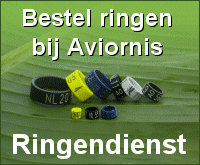 Ringendienst seizoen