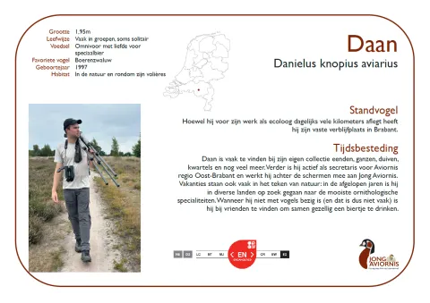 Daan - Jong Aviornis
