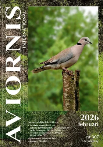 Foto kaft februari 2026