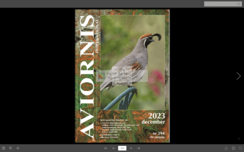 Digitaal tijdschrift