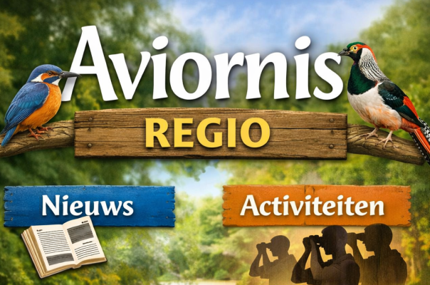 Aviornis Regio Nieuws Evenementen