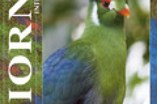 Cover tijdschrift 306