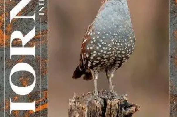 Tijdschrift cover
