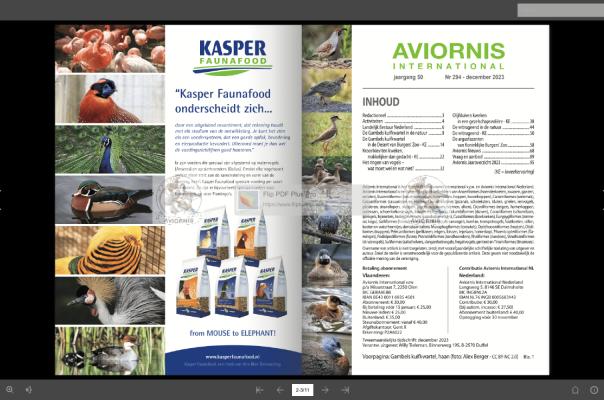 Digitaal tijdschrift