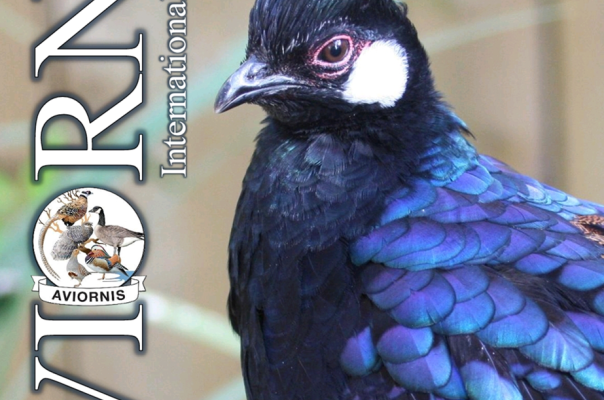 Voorpagina Besturlijk jaarboek 2025